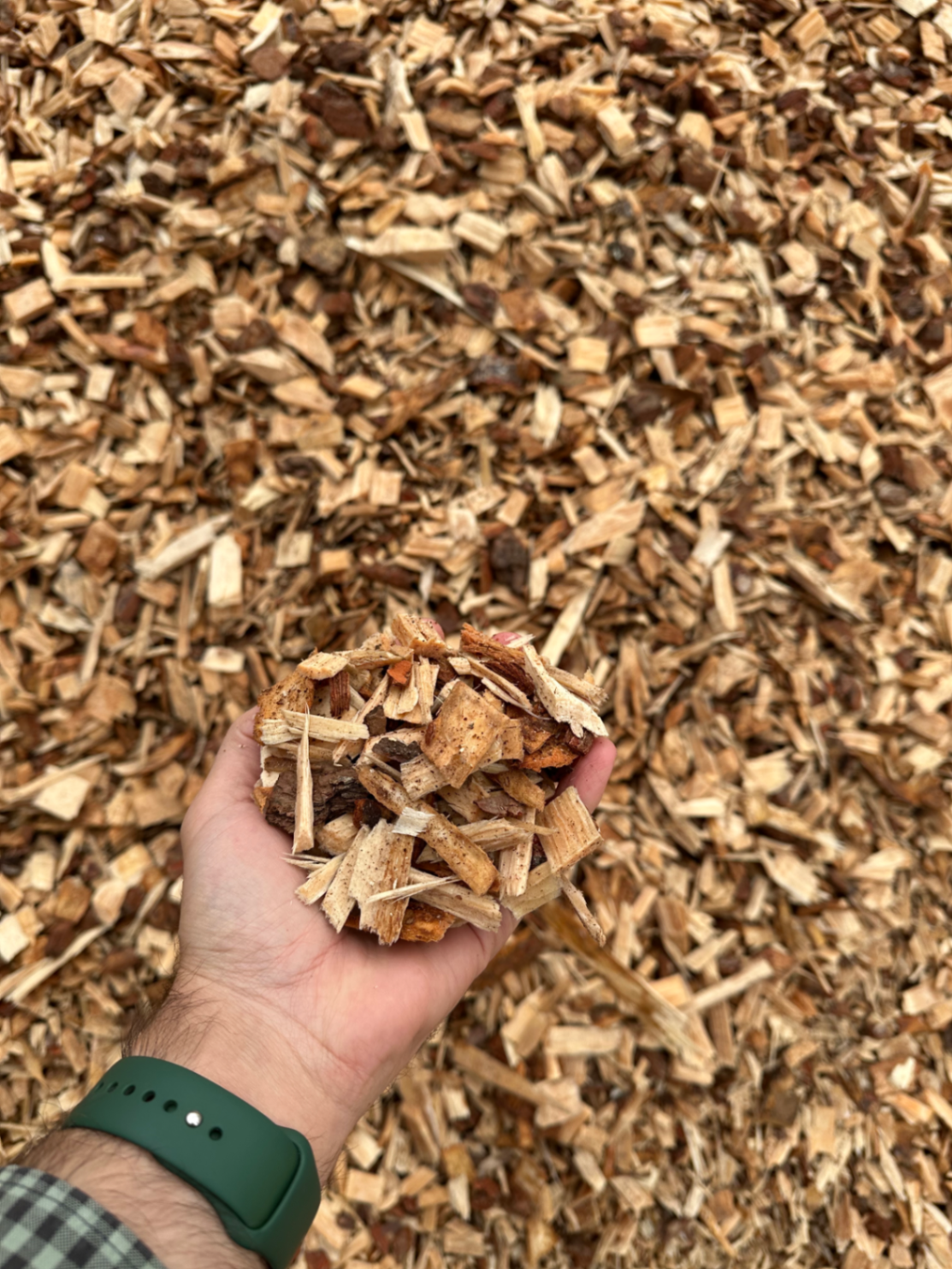Producción de astilla de madera y aserrín en planta de aserrado en Jalisco