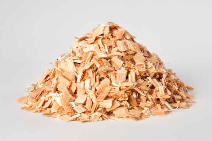 Astilla de madera de pino para biomasa forestal, industria papelera y generación de energía renovable